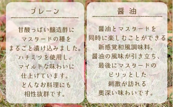 調味料 マスターネ プレーン しょう油 2本セット 100g×各1 マスタード 食べ比べマスタードシード 味付け 辛くない 料理 アクセント和食 洋食 中華 万能調味料 
