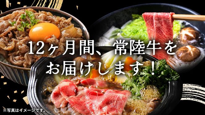 ＼ 選べるスタート月 ／ 【定期便】【全12回】『常陸牛』人気12か月堪能セット 牛肉 肉 お肉 国産 国産牛 ヒレ ステーキ ハンバーグ サーロイン 赤身 切り落とし 霜降り カルビ すき焼き しゃぶしゃぶ 和牛 黒毛和牛 (茨城県共通返礼品) [BX20-111-NT]