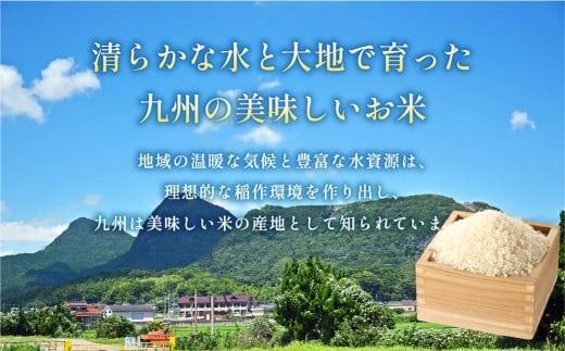 【1ヶ月毎4回定期便】 はるかおり 20kg 計80kg ／ 米 コメ お米 ライス ご飯 ごはん 飯 食品 精米 定期便 常温 福岡県 香春町