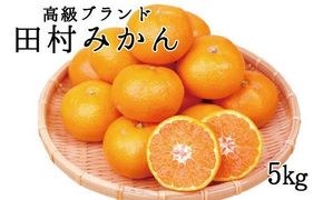 高級ブランド田村みかん　5kg【予約】※2026年11月下旬～2027年1月下旬頃に順次発送予定（お届け日指定不可）【uot504A】