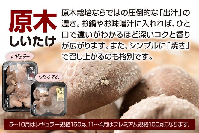 みちのくの小京都・角館が育んだ「おまかせセット」（桜えのき、原木しいたけ、生きくらげ、乾燥きくらげ、訳あり出汁取り用乾燥しいたけ、訳あり乾燥きくらげ）合計約700g(6品前後) [えのき エノキ しいたけ 椎茸 シイタケきくらげ 木耳 キクラゲ 園主おすすめ 生 乾燥 出汁 訳あり 秋田県 仙北市 角館]|02_sne-010201