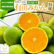 【先行予約】【初秋の美味】特選！濃厚青切り有田みかん 5.2kg(5kg+200g(傷み補償分))
