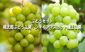 ぶどう 【2026年 早期受付】 ぶどうセット 桃太郎ぶどう 1房 ・ シャインマスカット 晴王 1房（合計約1kg） ブドウ 葡萄 岡山県産 国産 フルーツ 果物 ギフト [№5735-2083]