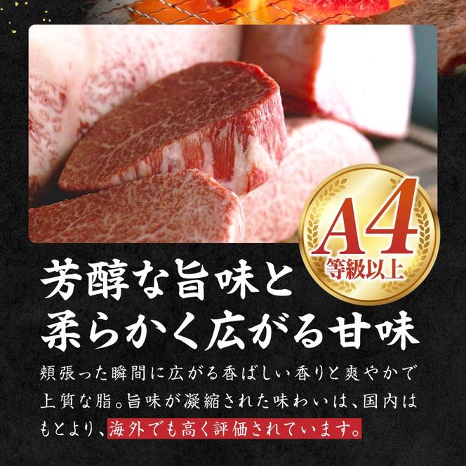 宮崎県西ノ原牧場・なかにしプレミアム和牛ヒレステーキ 450g（ 牛肉 黒毛和牛 お肉 国産 ヒレ ステーキ ステーキ肉 赤身 A4 A5 限定）