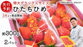 【 先行予約 】 ひたち姫 ( 2パック ) 特大 デラックス サイズ 【 2026年2月から発送開始 】( 茨城県共通返礼品 : 常陸太田市 ) いちご 数量限定 果物 くだもの フルーツ 苺 イチゴ ストロベリー 旬 大きい ひたち 甘い あまい