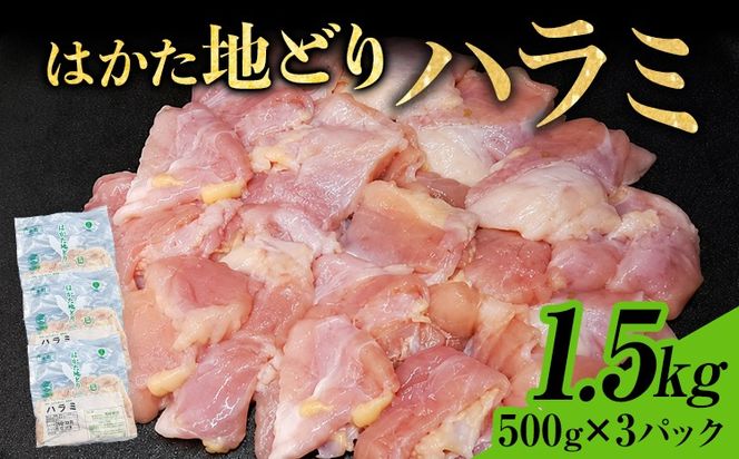 【ふるさと納税】はかた地どり ハラミ 1.5kg 500g×3パック 小分け 福岡県産 地鶏 鶏肉 冷凍 国産 はらみ とり肉 希少部位 チキン 炒め物 鉄板焼き 塩焼き 串焼き 焼き鳥 おつまみ 家飲み おうちごはん お取り寄せ グルメ ギフト