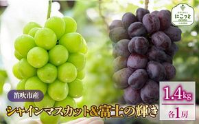【2026年発送★先行予約】シャインマスカット・富士の輝　1房ずつ（合計1.4kg） 097-023-26y