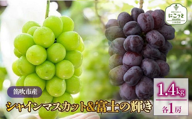 【2026年発送★先行予約】シャインマスカット・富士の輝　1房ずつ（合計1.4kg） 097-023-26y