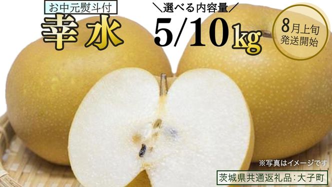 《 選べる 内容量 》《 お中元 熨斗付き 》 幸水 約5kg / 約10kg 【2026年8月上旬発送開始】(茨城県共通返礼品：大子町) 梨 なし 果物 くだもの フルーツ