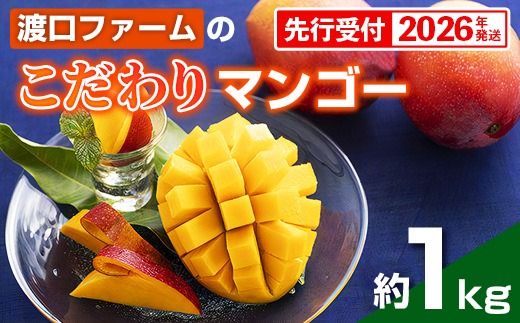 yꌧdzyϔzystE2026Nznt@[̂}S[1kg - s\ ꌧY Yn 썑t[c {̖o G߂̉ʕ 蕨 Mtg ꌧ d