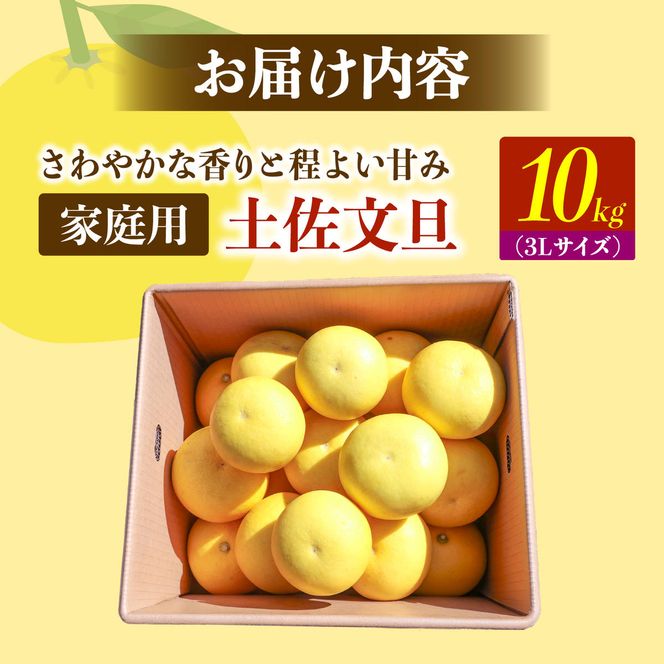 【先行予約】土佐文旦の創始 宮地文旦園の土佐文旦 家庭用3L 大玉 約10キロ 16～19個入り 10kg〈2027年3月上旬～4月下旬〉 ぶんたん ブンタン フルーツ 柑橘 みかん 果物 くだもの 柑橘類 高知県 土佐市【宮地文旦園】[BQBP008]