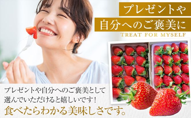 【贈答用・数量限定】とちおとめ　いちご　約1kg（約500g×2パック）1パック　15粒または20粒 232238_DU003