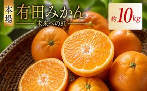  2.有田みかん「未来への虹」（10kg） (A2-2)