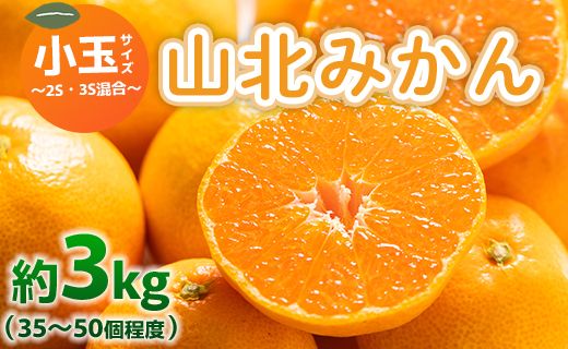 山北みかん 小玉サイズ(2S,3Sサイズ) 3kg 約35～50個入り 甘い - 果物 フルーツ 柑橘類 温州みかん ミカン 蜜柑 甘い おいしい 美味しい 山北みらい 高知県 香南市 yk-0064