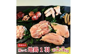 地鶏 愛媛 媛っこ地鶏 1羽セット 約2.5kg 鶏肉 鳥肉 肉 チキン むね肉 もも肉 ささみ レバー せせり ハツ 砂肝 焼肉 焼き鳥  BBQ 冷凍 国産 高級 タンパク質 低脂肪 糖質 唐揚げ チキン南蛮 サラダチキン スープ 出汁 モツ煮 ダイエット 愛南町 送料無料 ローカルスタンダード