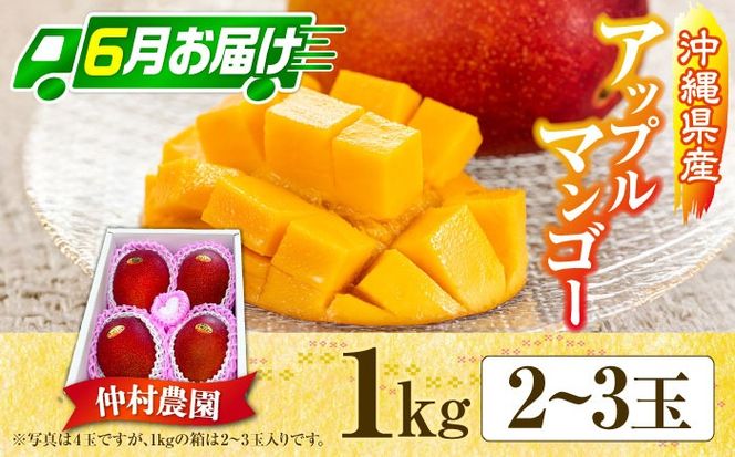 【期間限定】 【全2回】 沖縄市特産 和牛ステーキ&マンゴー アップルマンゴー 沖縄 牛肉 希少部位 ステーキ 沖縄市 / 仲村農園 / 肉のサブロー[BCZZ049]