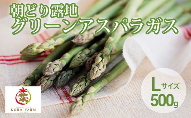 【2026年5月より発送】北海道 富良野市産 アスパラ 緑 約500g 朝どり 露地 グリーン アスパラガス 詰め合わせ 野菜 新鮮 数量限定 先着順【藏ファーム】