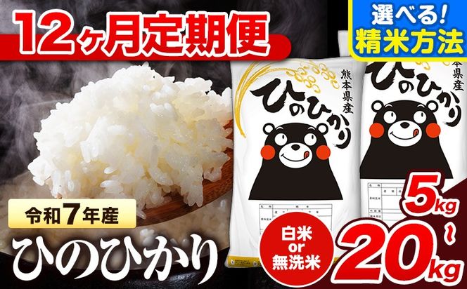 令和7年産 【12ヶ月定期便】無洗米 も選べる 白米 米 ひのひかり 5kg 10kg  20kg 《お申込み翌月から出荷》熊本県 氷川町 国産 熊本県産 白米 精米 無洗米 送料無料 ヒノヒカリ こめ お米 ---hkw_lcl_167_mo12_tei---