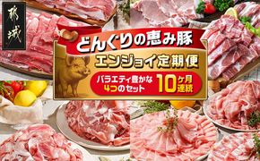 「どんぐりの恵み豚」エンジョイ定期便(10ヶ月)_T80(10)-1102_(都城市) スライスセット 焼肉 スペアリブ こま切れ しゃぶしゃぶセット ブランド豚 10ヶ月 毎月お届け 毎日のお料理に 都城市 豚肉 ロース バラ モモ ウデ スライス スペアリブ 切り落とし ステーキ しゃぶしゃぶ