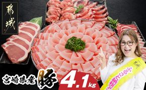 宮崎県産豚わくわく4.1kgセット(真空)_AC-8403-s