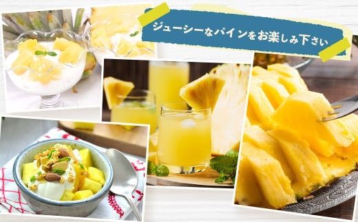 【予約受付】《2026年5月下旬～7月中旬発送》最高糖度18度！？ 完熟の極 石垣島産ジュワリーパイン2個 【 沖縄県 石垣市 石垣島 完熟 パイン パイナップル ジュワリー 予約受付 】TF-16-1_R8