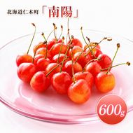 2027年発送 北海道 仁木町産 さくらんぼ 南陽 600g(300g×2パック)　Lサイズ以上 旬 桜桃 産地直送 サクランボ チェリー フルーツ 果物 果物類  仁木町 仁木 [松山商店]