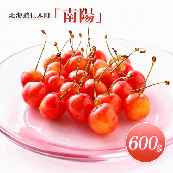 2027年発送 北海道 仁木町産 さくらんぼ 南陽 600g(300g×2パック)　Lサイズ以上 旬 桜桃 産地直送 サクランボ チェリー フルーツ 果物 果物類  仁木町 仁木 [松山商店]