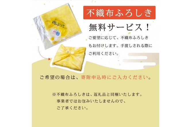 【7営業日以内発送】飛騨牛　焼肉用（肩ロース700ｇ）【0016-039】