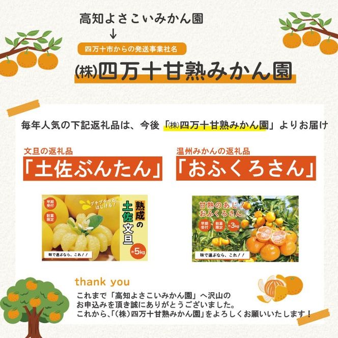 【早期受付・数量限定】熟成の土佐文旦5kg 家庭用 予約 先行受付 大人気 リピーター フルーツ 果物 旬 文旦 ぶんたん ブンタン 土佐文旦 柑橘 オススメ 四万十 しまんと 高知 産地直送 農家直送 【2026年2月下旬より発送】R7-551