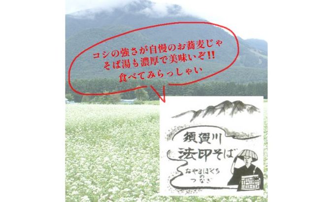 須賀川法印そば（手打ちそば瞬間冷凍）4食入 蕎麦 すがかわ蕎麦 4人前 
