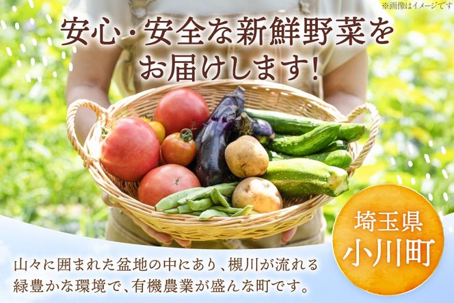 野菜 詰め合わせ 約3kg OGAWA'N [JA埼玉中央 埼玉県 小川町 135] やさい セット 野菜セット 詰合せ