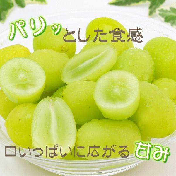 【産直もぎたて】シャインマスカット 1.3kg程度（2～3房 果実 くだもの フルーツ ブドウ 贈答用 限定）