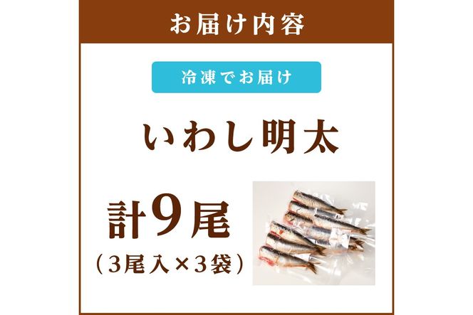 【A3-085】いわし明太 9尾