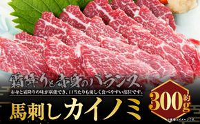 C33P 馬刺し 貝の身（カイノミ）約300g 貝の身 馬肉 馬刺し 赤身 肉 お肉 醤油 タレ付き 生姜付き 冷凍 熊本県 上天草市