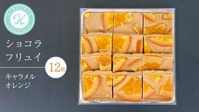 ショコラフリュイ キャラメルオレンジ 12枚 チョコレート チョコ スイーツ デザート 高級 ギフト 贈り物 お礼 プレゼント 手土産 お菓子 [DJ58-NT]