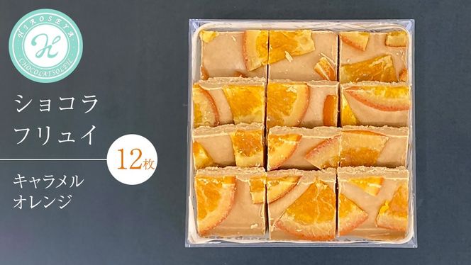 ショコラフリュイ キャラメルオレンジ 12枚 チョコレート チョコ スイーツ デザート 高級 ギフト 贈り物 お礼 プレゼント 手土産 お菓子 [DJ58-NT]