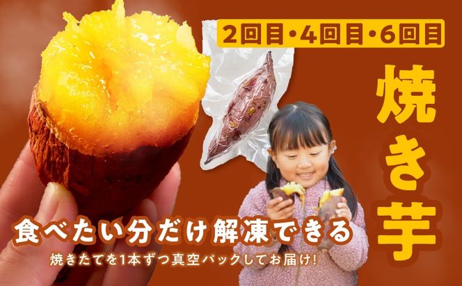 099Z526 【定期便】干し芋 600g/焼き芋1kg 全6回 交互便【ほしいも 芋 いも 無添加 紅はるか 干しいも おやつ サツマイモ さつまいも】