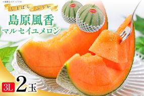 BD201【令和8年度出荷分】マルセイユメロン～島原風香～（3L×2玉） [農事組合法人　『舞岳の里』生産組合 長崎県 島原市 BD201] メロン 赤肉 果物 くだもの フルーツ 産地直送