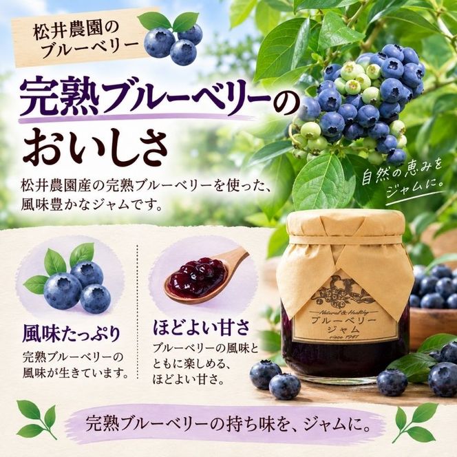 ジャム【ブルーベリージャム（140g）２個セット】ブルーベリー 完熟  果物 ペースト トッピング  トースト ヨーグルト 信州 長野