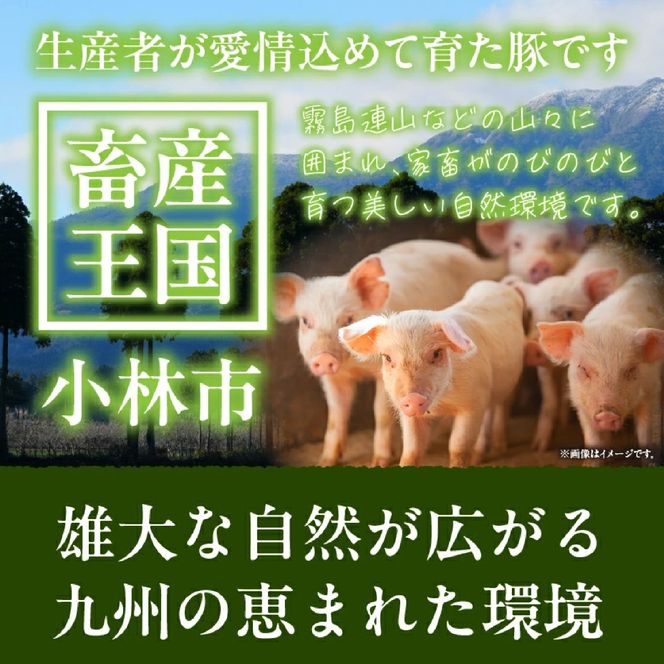 【訳あり】九州産豚肉ロースとんかつ計1.4kg(豚肉 ロース とんかつ 豚ロース ロースカツ 厚切り 九州産 国産豚肉 ジューシー やわらか 甘みのある脂 肉厚 )