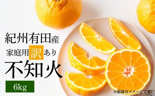 G7358_【2027年先行予約】紀州有田産 不知火 (しらぬい)【家庭用 訳あり】6kg デコポン フルーツ デザート 柑橘 果物 果実 みかん お取り寄せ 和歌山県 湯浅町 送料無料