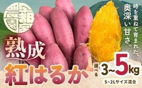 熟成 さつまいも 紅はるか 3kg 5kg S～2L 宇都宮農園《11月上旬-3月末頃出荷》 熊本県 大津町 さつま芋 芋 スイーツ 野菜 おやつ サツマイモ べにはるか---oz_utm_4_3kg---