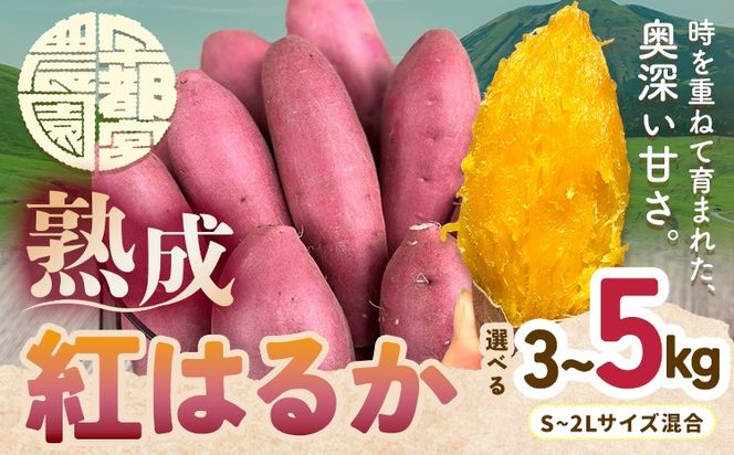 熟成 さつまいも 紅はるか 3kg 5kg S～2L 宇都宮農園《11月上旬-3月末頃出荷》 熊本県 大津町 さつま芋 芋 スイーツ 野菜 おやつ サツマイモ べにはるか---oz_utm_4_3kg---