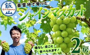 【先行予約】贈答用 シャインマスカット 2房（約1kg以上）(Bv-002)
