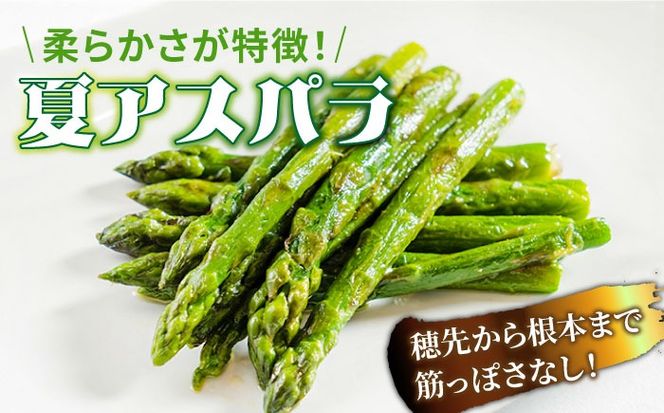 【2026年6月初回発送】【数量限定】甘い！柔らかい！【星のアスパラ】厳選 グリーン アスパラガス 約2kg / アスパラ アスパラガス 野菜 厳選 / 南島原市 / ほしのYA [SEY002]