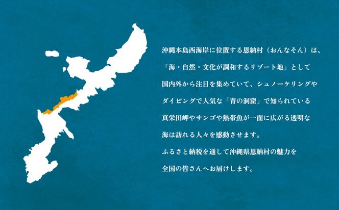 【海レジンアートうみねこ】恩納Blue アートパネル〜夏色〜 A3サイズ