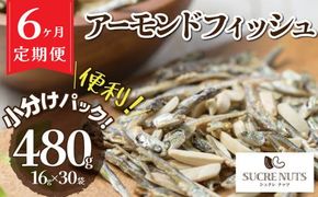 【6回定期便】手軽に健康習慣 小分けのこざかなアーモンド カシューナッツ入り 480g(16gｘ30袋) おうち時間 おやつ 大満足 美容 健康 栄養豊富 人気 高リピート ナッツ H059-186