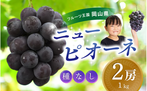 【2026年の先行予約】 ピオーネ 種無し『ニューピオーネ』1kg（2房） 岡山産 ぶどう ピオーネ 高級 真庭市 大粒 葡萄 果物 フルーツ 濃厚ピオーネ 人気 数量限定 2026年9月上旬～ 受付順に発送予定 【hana014-03】