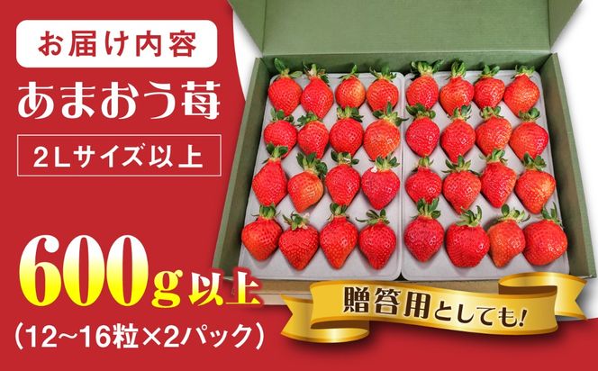 【化粧箱】あまおう いちご 600g以上  糸島市 / 株式会社フルコンス [ALO001]