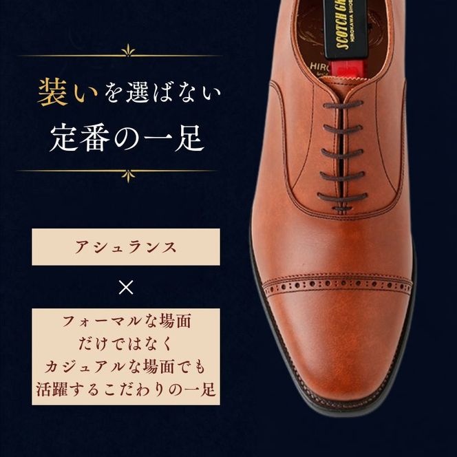 スコッチグレイン ビジネスシューズ メンズ アシュランス 3536BR パンチドキャップトゥ 革靴 本革 日本製 EEE 送料無料 ギフト